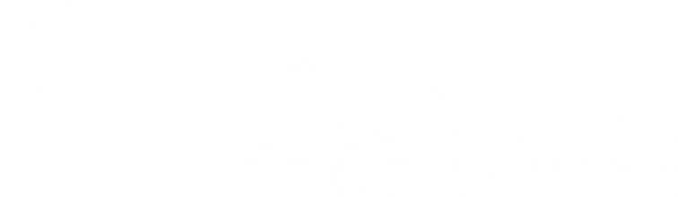 Rayna Properties